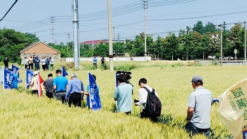 520健康植保日——擁抱綠色農(nóng)業(yè)，我們?cè)谛袆?dòng)